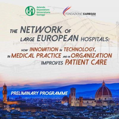 The network of large european hospitals: how innovation in technology, in medical practise and in organization improves patient care