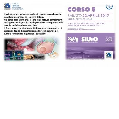 Corso ECM 5 - Le neoplasie parenchimali del rene: dalla biopsia alla palliazione