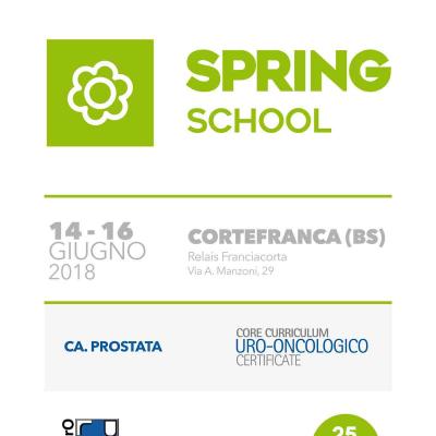 Spring School 2018